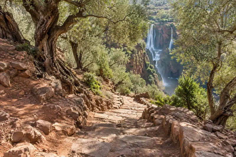 El sendero escalonado que baja entre los olivos junto a la cascada
